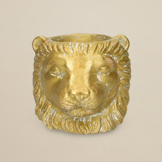 Pot Cache-pot Lion doré D11/13 cm pour petites plantes d’intérieur
