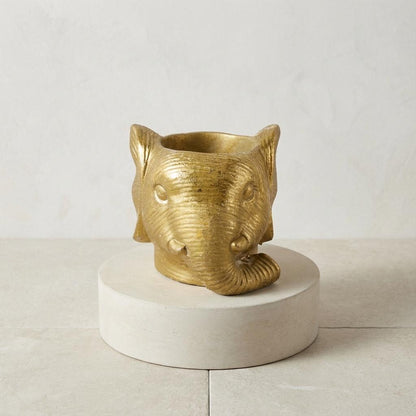 Pot Éléphant Doré D11/12 cm pour petites plantes vertes ou fleuries