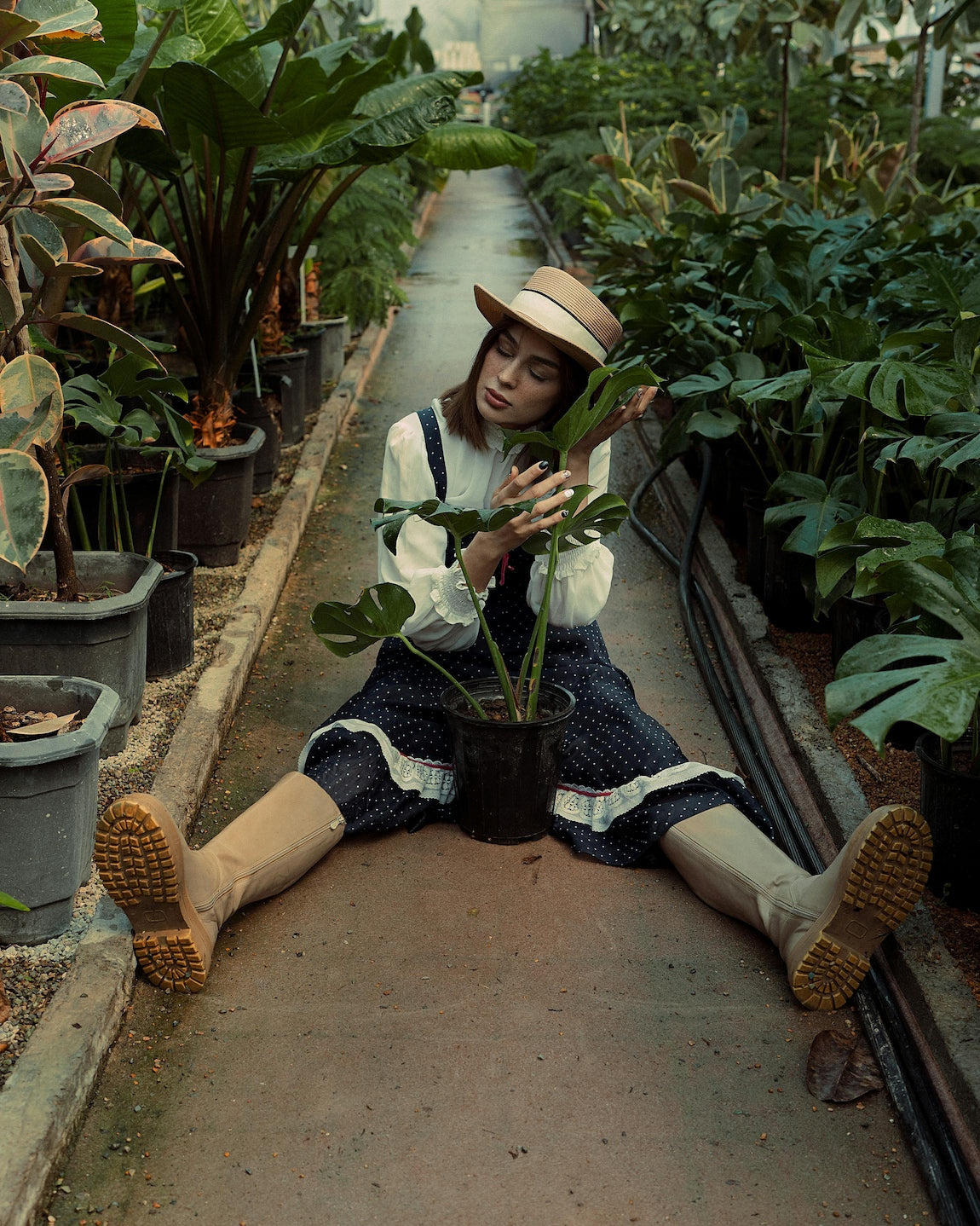 Sélection pépinière – plantes rares livrées directement des serres