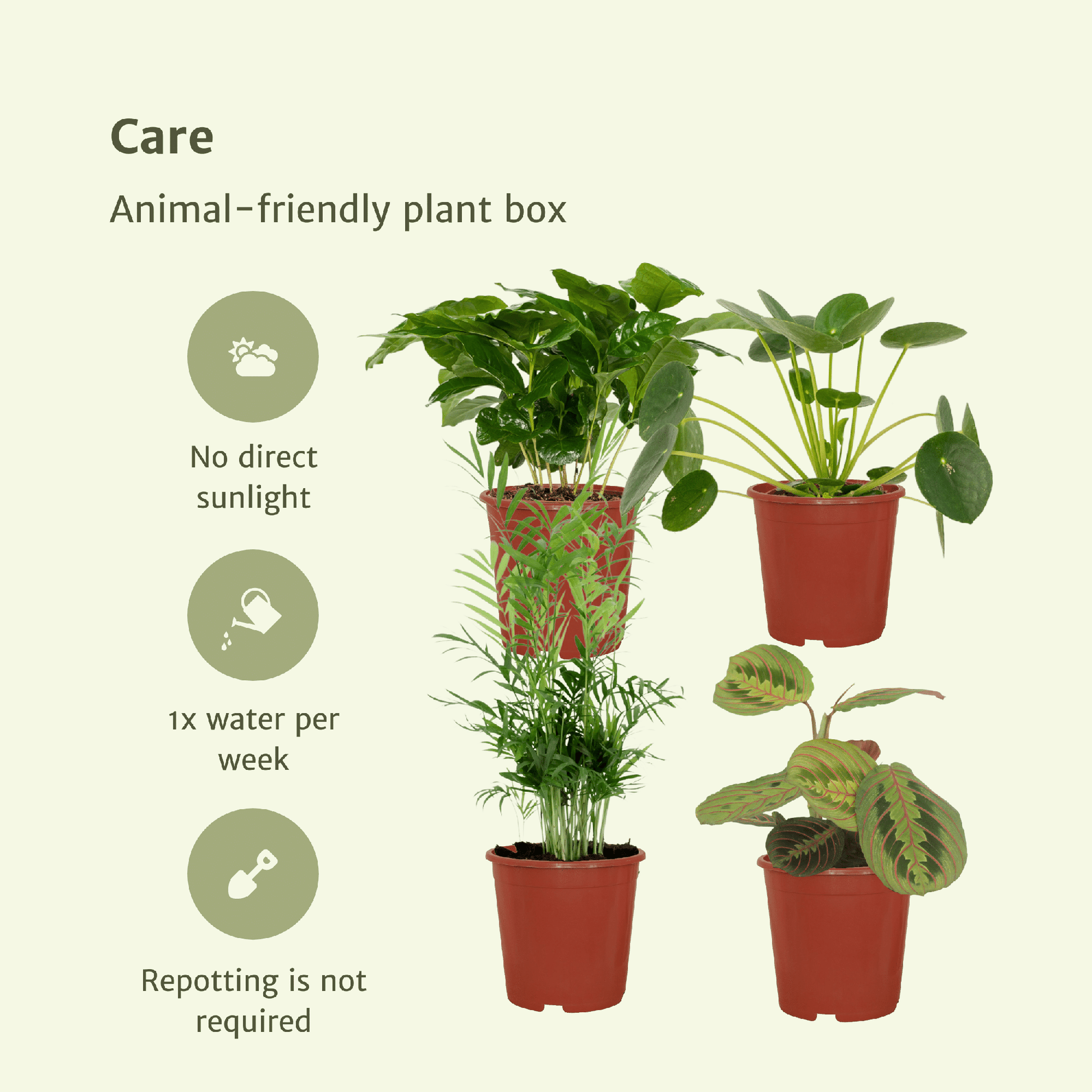 Box amie des animaux