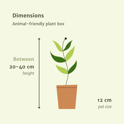 Box amie des animaux